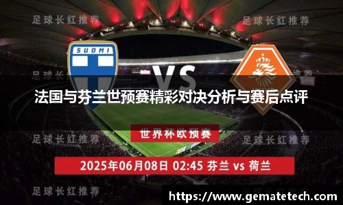 法国与芬兰世预赛精彩对决分析与赛后点评